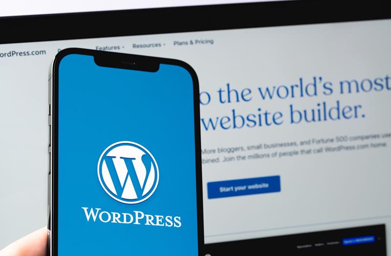 what is wordpress hosting